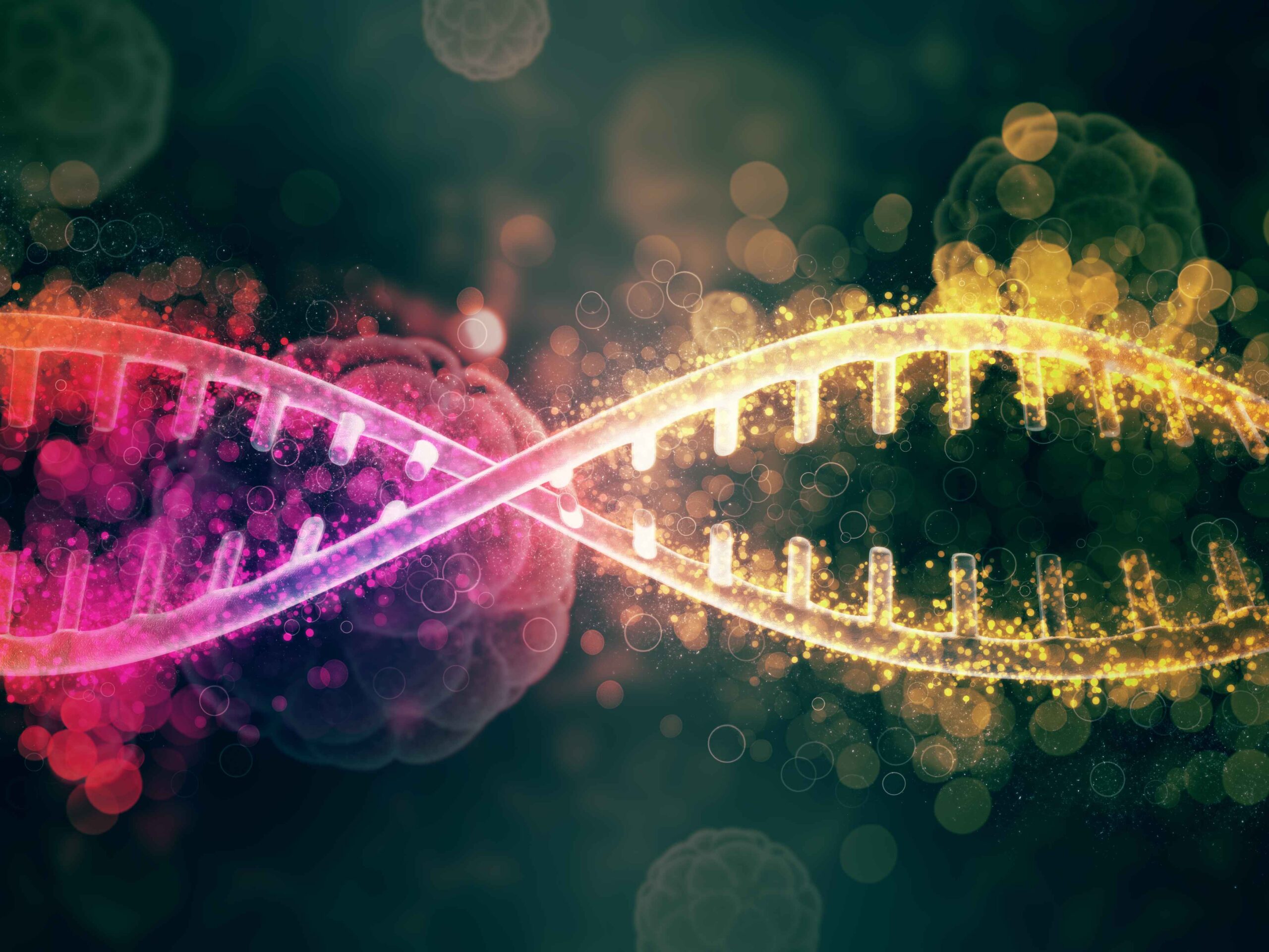 Genetic Abnormality: Shedding Light on the Genetic Variations and Health Implications