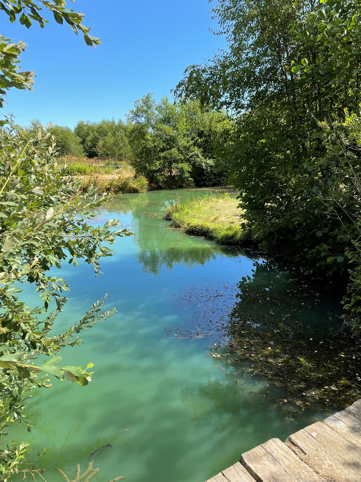 What Anglers Need to Know Before They Go